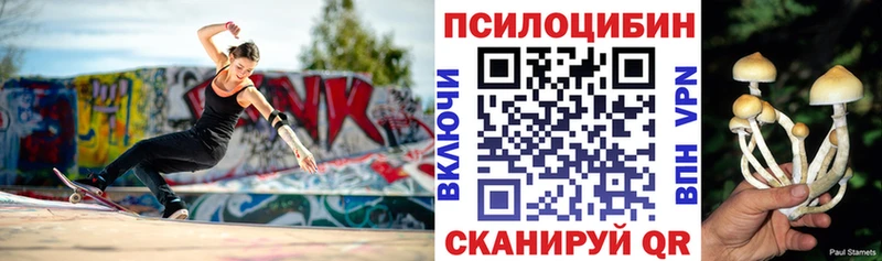 где можно купить   Ишимбай  Галлюциногенные грибы ЛСД 